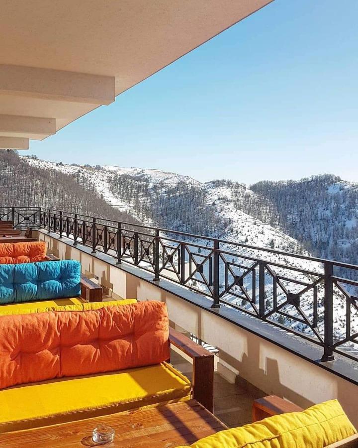 Apartments Zivkovic, Milmari D コパオニク エクステリア 写真