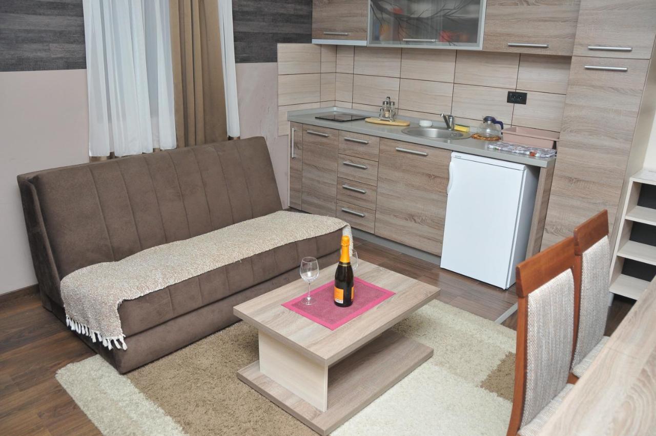 Apartments Zivkovic, Milmari D コパオニク エクステリア 写真