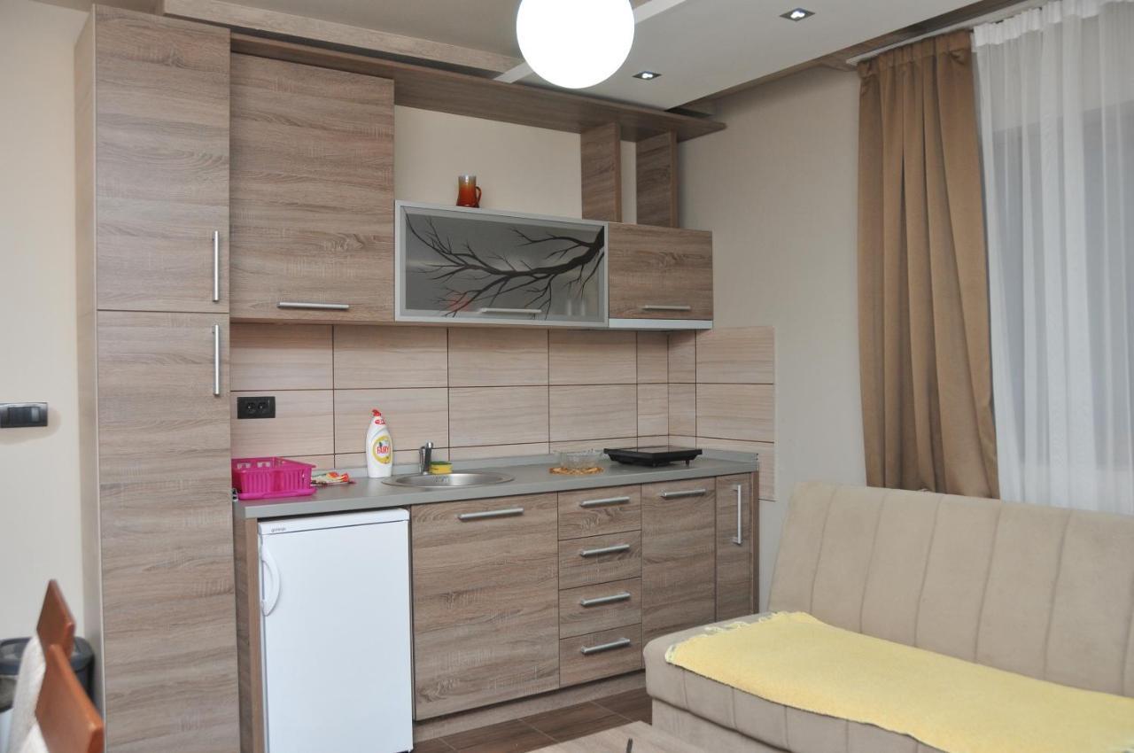 Apartments Zivkovic, Milmari D コパオニク エクステリア 写真