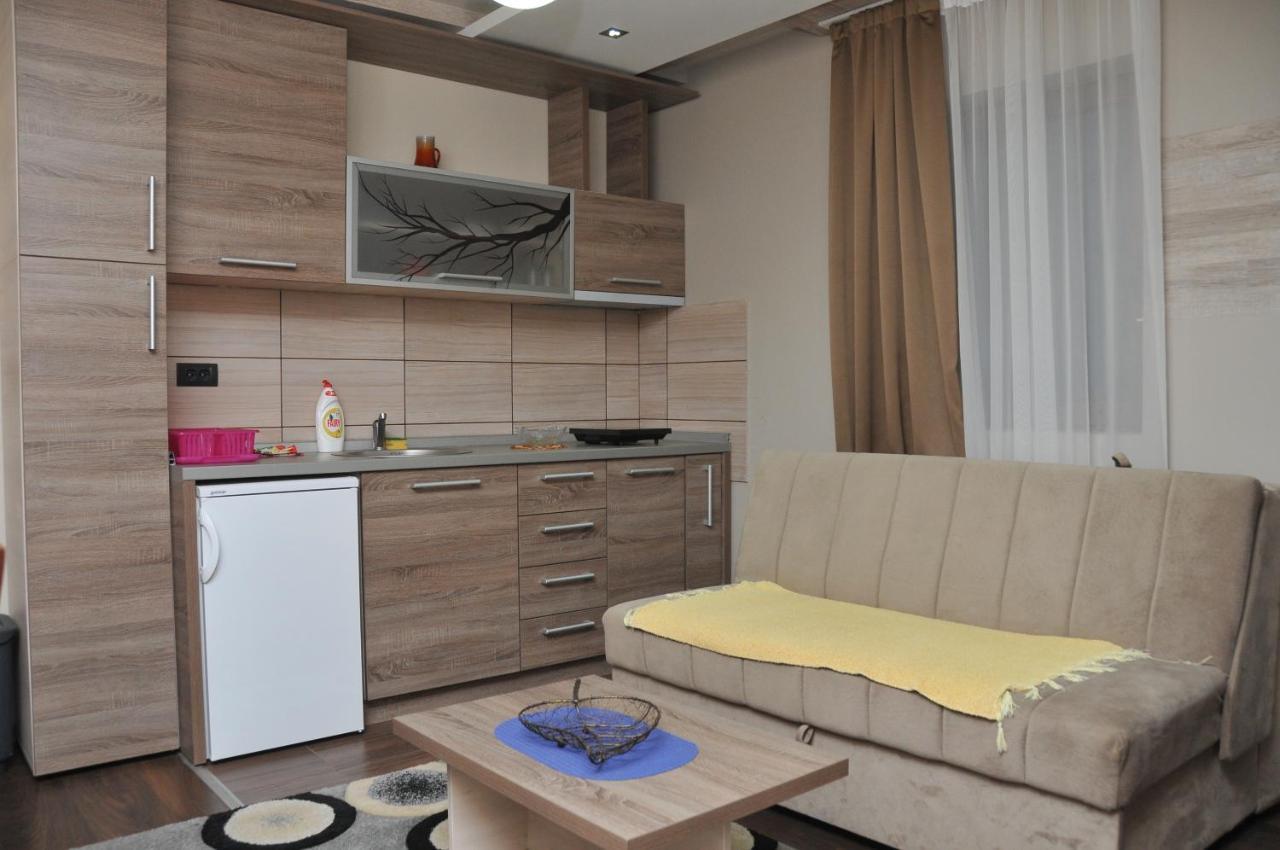 Apartments Zivkovic, Milmari D コパオニク エクステリア 写真